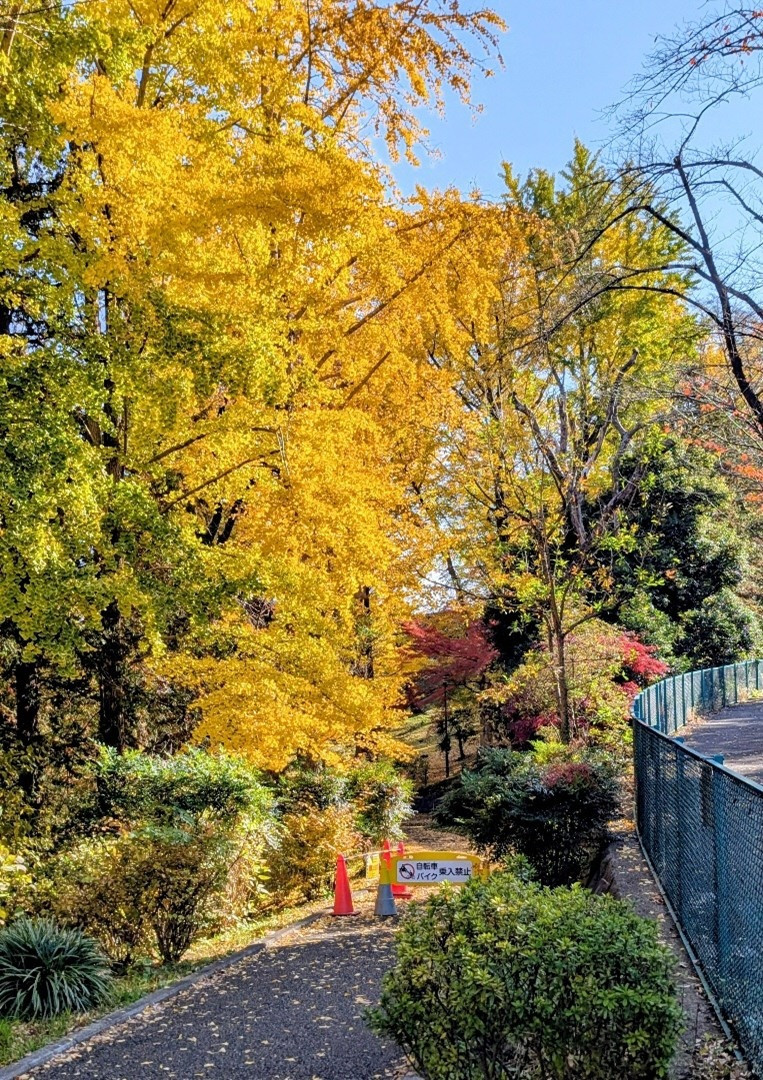 6a6812a1b7a167594c2ac6eda80b606e-1764892155.jpg 6a6812a1b7a167594c2ac6eda80b606e-1764892155.jpg