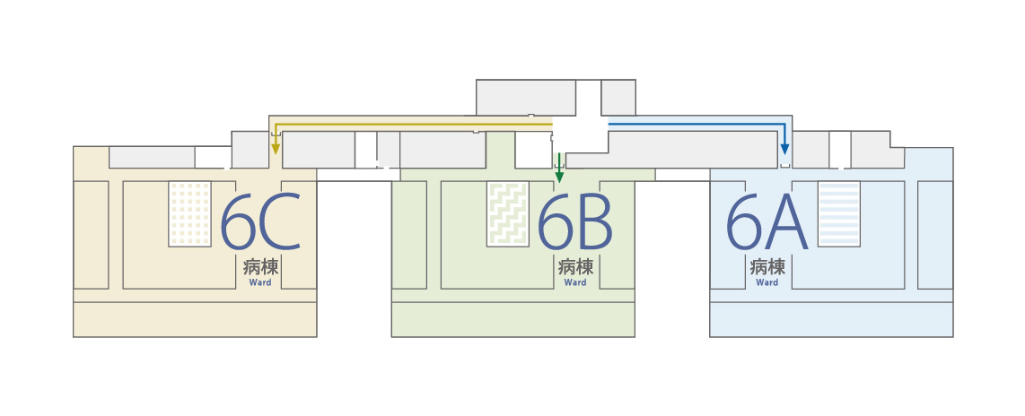 6F